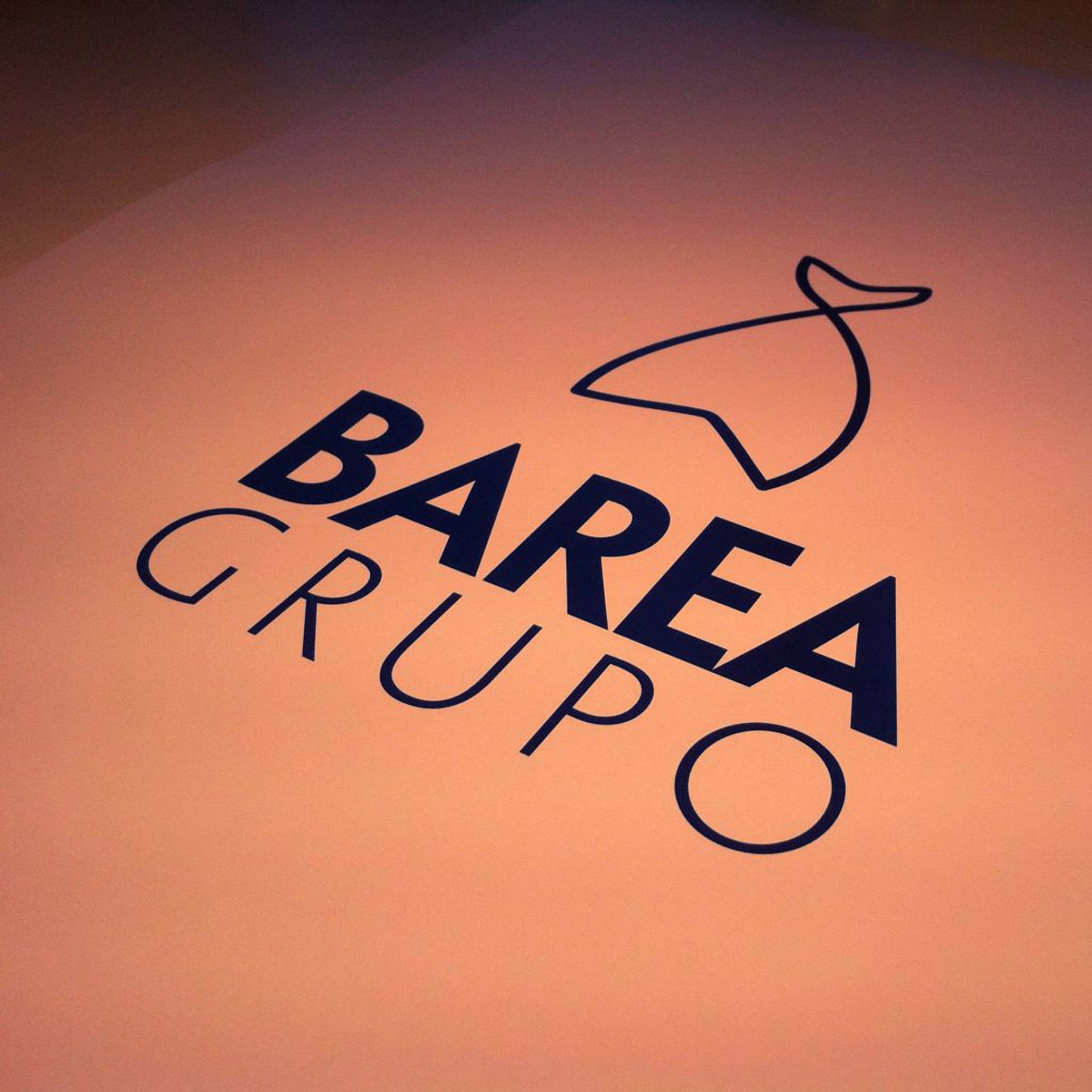 Branding, creatividad gráfica, diseño editorial y packaging Barea grupo